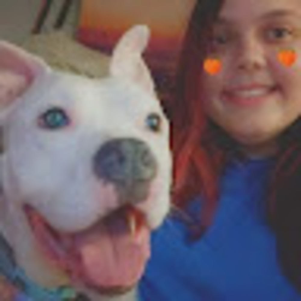 Meet your Posher, Athena